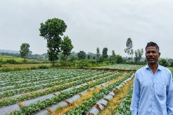 सूक्ष्म सिंचाई योजना से खेती बनी अधिक लाभकारी