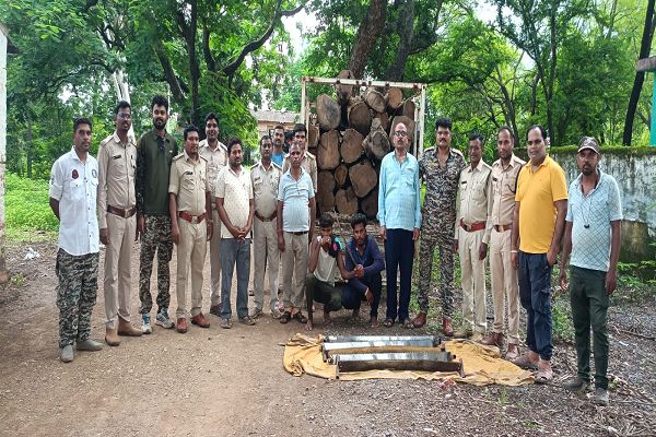  सागौन तस्करी का काला खेल, वर्षों की अनदेखी से उजड़ते रहे जंगल, जिम्मेदार मौन