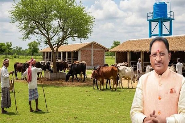 छत्तीसगढ़ में निराश्रित मवेशियों के संरक्षण के लिए बड़ी पहल