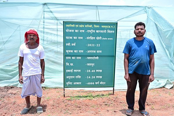 संरक्षित खेती और उद्यानिकी से जशपुर के किसान अनारथ साय ने लिखी आत्मनिर्भरता की नई कहानी
