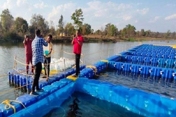 मत्स्य पालन से 30-40 टन उत्पादन, 50 लाख तक पहुंची आय,20 से अधिक लोगों को मिला रोजगार