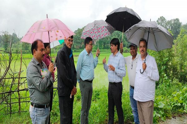 &rsquo;बारिश के बीच खेतों में पहुंचा कृषि अमला, जवाफुल धान की जैविक खेती और सन बीज उत्पादन पर जोर&rsquo;