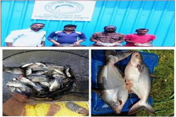 जलाशय से समृद्धि तक का सफर, 54 केजो ने बदली मछुआ समिति की तस्वीर
