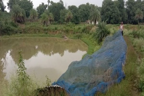 अबूझमाड़ के सोमारू ने मछली पालन से बदली तकदीर