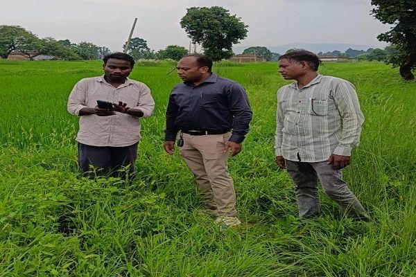  डिजिटल क्रॉप सर्वे से खेत-खेत दर्ज हो रही फसल की वास्तविक जानकारी, धान खरीदी की राह होगी आसान