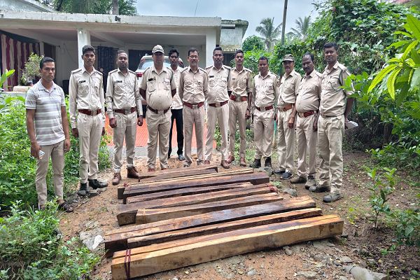  कैंटपदर-बरकानी में वन विभाग की बड़ी कार्रवाई, सागौन चिरान के 21 नग बरामद