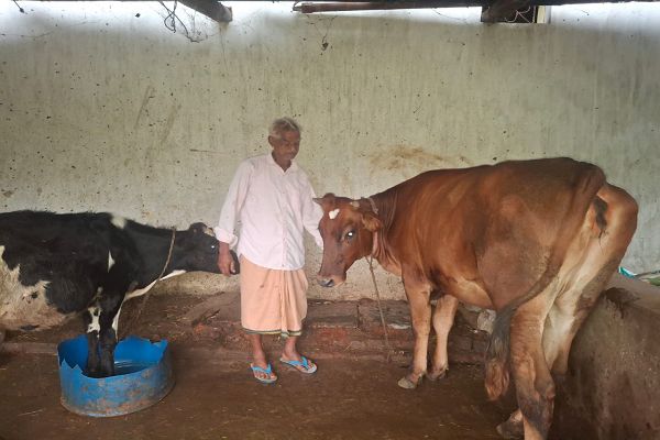 पीएम किसान सम्मान निधि की बचत से खरीदी पहली गाय, आज 10 गायों के साथ आत्मनिर्भर बने 75 वर्षीय श्री परशुराम गुप्ता
