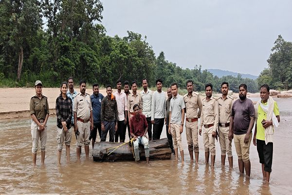 स्मार्ट सर्विलांस में फंसा अंतरराज्यीय सागौन तस्करी गिरोह, 3 गिरफ्तार   0 उदंती नदी के बहाव के सहारे सागौन के लट्ठे ओडिशा पहुंचाने की थी तैयारी।  0 वन विभाग और पुलिस की संयुक्त कार्रवाई।