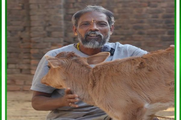 गौपालन बना मधुसुदन भगत की मजबूत आय का साधन