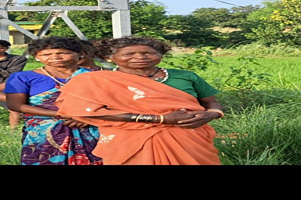 रायपुर : सेवा संकल्प अभियान: प्रधानमंत्री श्री नरेन्द्र मोदी के &lsquo;हर घर जल&rsquo; संकल्प से भुलिया बाई के घर पहुंचा स्वच्छ पेयजल