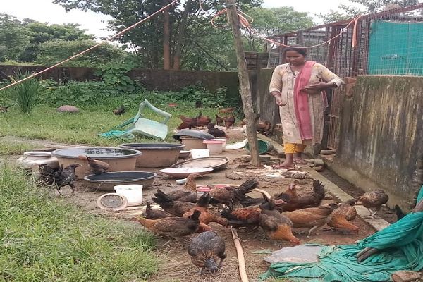  मुर्गी पालन ने बदली रजनी की राह, आत्मनिर्भरता की ओर बढ़ाया कदम