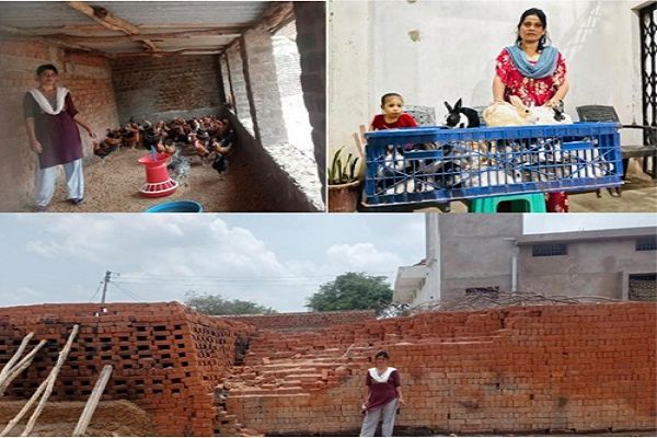 सक्षम योजना&rsquo; से धमतरी की सफीना बनीं आत्मनिर्भरता की मिसाल