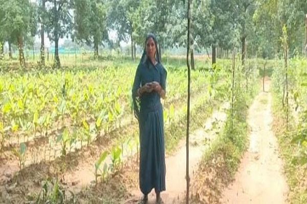समेकित खेती से संवरी केकराखोली की तस्वीर