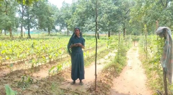 सेवा संकल्प अब अभियान : खेती को नया आयाम, 25 किसानों की बदली खेती की तस्वीर