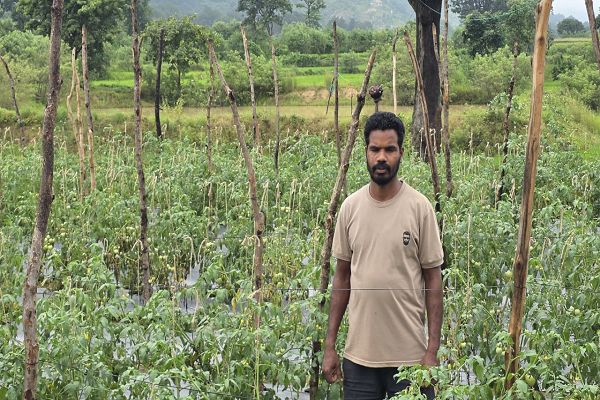  सेवा संकल्प अभियान : सेवा की कहानी: एक डबरी ने खोले आय के कई रास्ते, मान सिंह ने खेती के साथ मछली पालन को बनाया आजीविका का आधार