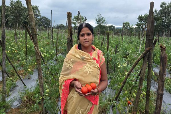 सेवा संकल्प अभियान : सेवा की कहानी : पति के निधन के बाद खेती बनी परिवार का सहारा, बिहान से जुड़कर आत्मनिर्भर बनीं उर्मिला
