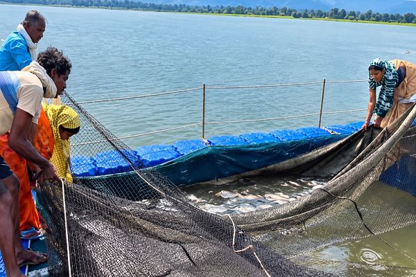 प्रधानमंत्री मत्स्य संपदा योजना से मल्हनिया जलाशय में बदली मछुआरों की जिंदगी