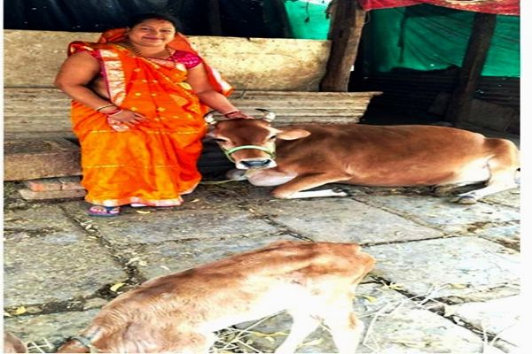 सेवा संकल्प अभियान : सेवा की कहानी : महतारी वंदन की राशि बनी स्वरोजगार का आधार, सरिता ने बचत कर खरीदी गाय और शुरू किया दुग्ध व्यवसाय