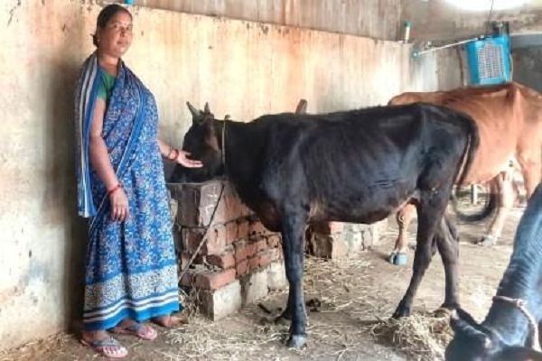 मादा वत्सपालन योजना से मिली उन्नत नस्ल की बछिया से बढ़ी समृद्धि की उम्मीद