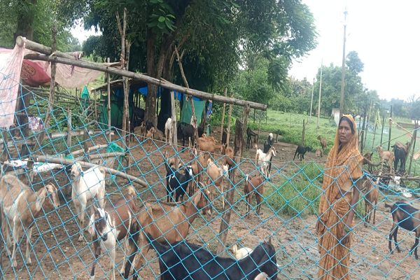 सेवा की कहानी&rsquo; : &rsquo;परंपरागत कार्य को व्यवसायिक साधन बनाकर आगे बढ़ रहीं हैं पद्मावती&rsquo;