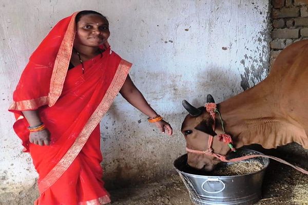 सेवा की कहानी : डेयरी व्यवसाय से आत्मनिर्भर बन रहे जिले के 15 हजार से अधिक पशुपालक और महिलाएं