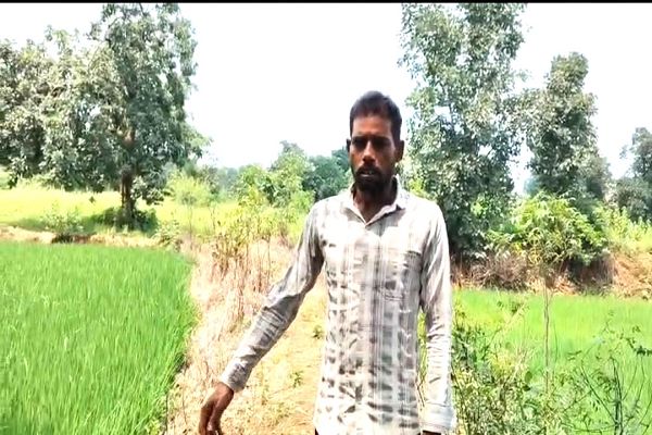 सेवा की कहानी : प्रधानमंत्री किसान सम्मान निधि से जिले के कृषक हो रहे समृद्ध