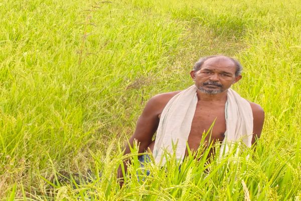 &rsquo;सेवा संकल्प अभियान-2026&rsquo; : सेवा की कहानीः कृषक उन्नति योजना से शंकर प्रसाद को मिलेगा 45 हजार रुपये का लाभ, तीन एकड़ में की सुगंधित धान की खेती