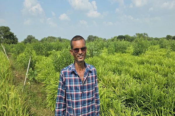 सेवा संकल्प अभियान 2026 : सेवा की कहानी: कृषक उन्नति योजना से बदली खेती की दिशा, धान की जगह अदरक की खेती कर नई संभावनाएं तलाश रहे किसान सुनील कुमार सिंह
