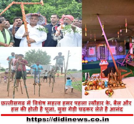 छत्तीसगढ़ में विशेष महत्व हमर पहला त्यौहार के, बैल और हल की होती है पूजा, युवा गेड़ी चढ़कर लेते है आनंद