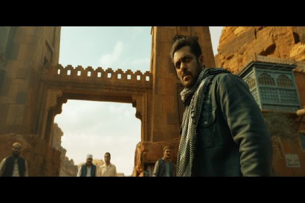  इंटरनेट पर दुनिया भर में टाइगर का मैसेज को मिली सराहना पर सलमान खान ने कहा 'मुझे टाइगर फ्रैंचाइजी पर गर्व है!'