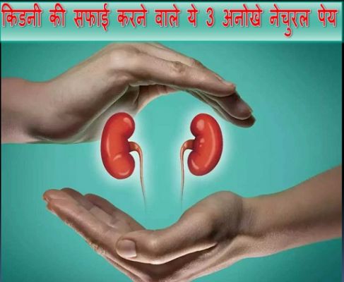 किडनी की सफाई करने वाले ये 3 अनोखे नेचुरल पेय, खून की टॉक्सिन पूरी तथ साफ हो जाएगा