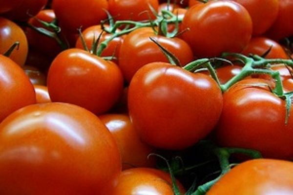  टमाटर के फायदे