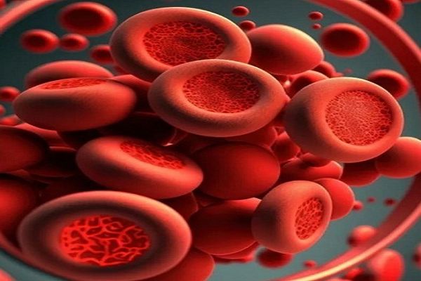 खून की कमी को आयरन से भरपूर ये चीज़ें करती हैं दूर