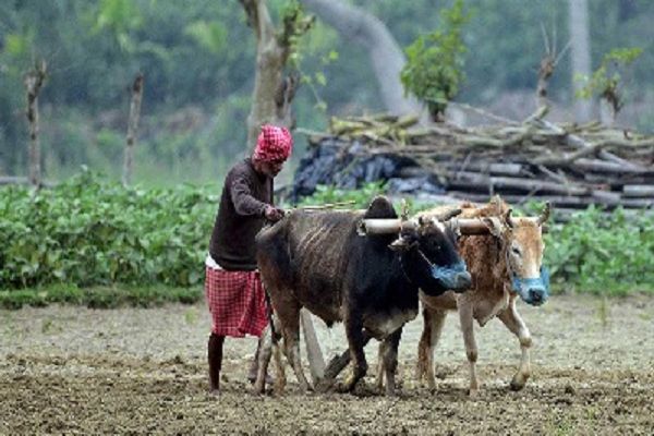 रबी फसलों के एमएसपी की घोषणा, बाजारी ताकतों पर नियंत्रण जरुरी