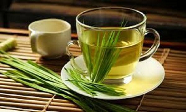 सेहत के लिए वरदान साबित होगी लेमनग्रास टी