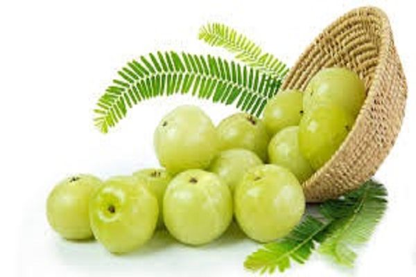 रोज खाएं एक से दो आंवला