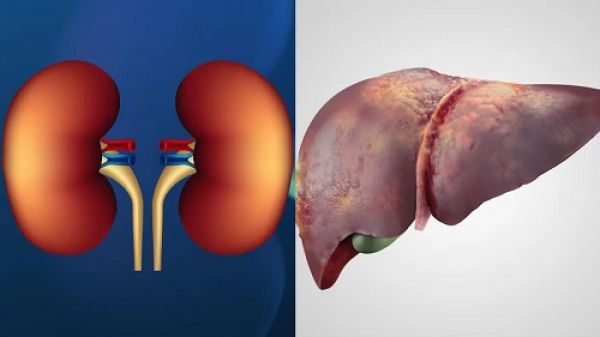 लिवर किडनी को साफ करने में असरदार है 3 सब्जियां