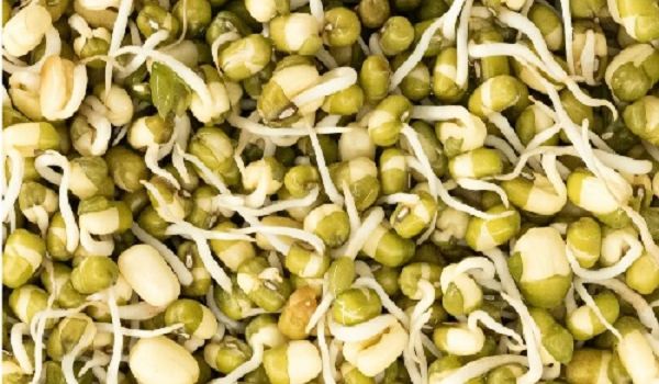 अंकुरित मूंग खाने के फायदे