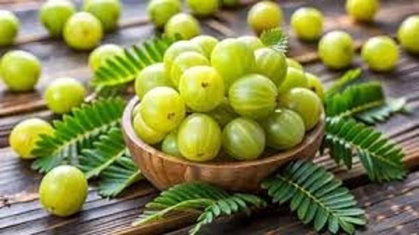 एक दिन में कितने आंवला खाएं?