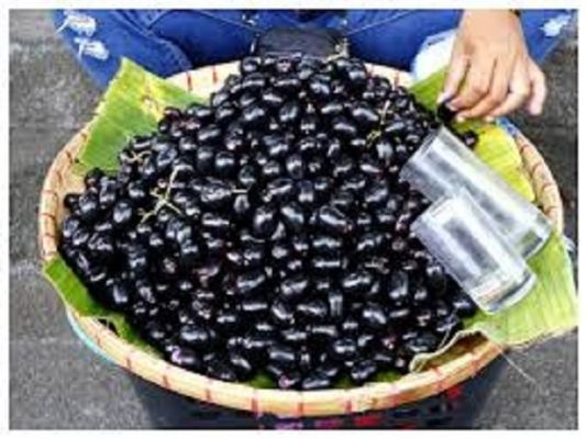 गर्मियों में क्यों खाना चाहिए जामुन, जान लें इसके सेवन से क्या क्या फायदे होते हैं