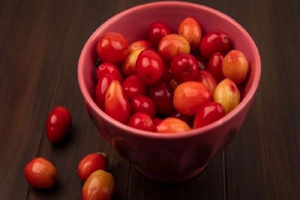 करौंदा से मिल सकते हैं ये 5 कमाल के फायदे