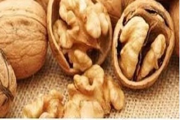 रोजाना कितने अखरोट खाने चाहिए?
