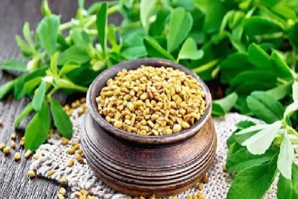 इन लोगों के लिए खतरनाक है मेथी का ज्यादा सेवन