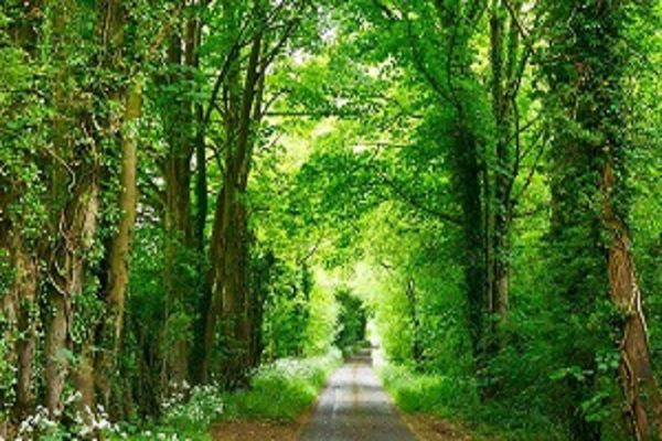 पर्यावरण के बड़े खतरों से निपटने के लिये कोशिशें भी बड़ी हों