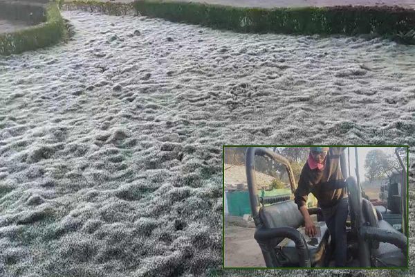 MP के शिमला में सीजन की पहली बर्फबारी, बर्फ देख झूमे पर्यटक, 1.8 डिग्री पहुंचा तापमान