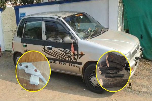 MP Police के सामने झुका &lsquo;पुष्पा&rsquo;: लग्जरी कार में चंदन की तस्करी करते 4 गिरफ्तार, एक क्विंटल कीमती लकड़ी, कट्टा सहित 7 जिंदा कारतूस बरामद