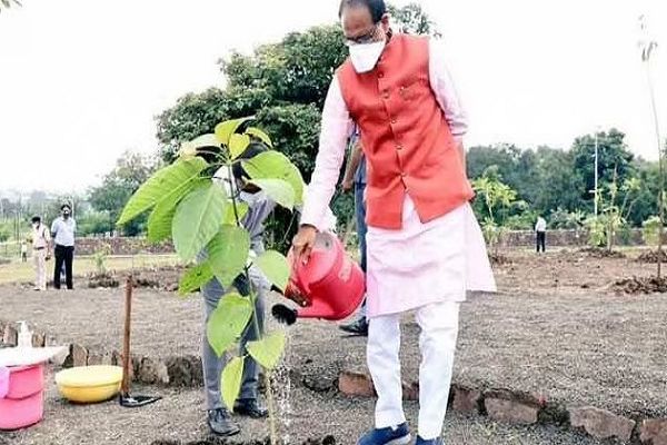 शिवराज सिंह के पौधारोपण संकल्प के 4 साल पूरे: 20 राज्यों में लगा चुके हैं साढ़े चार हजार से अधिक पौधे, कल छतरपुर में जल सखियों के साथ करेंगे वृक्षारोपण