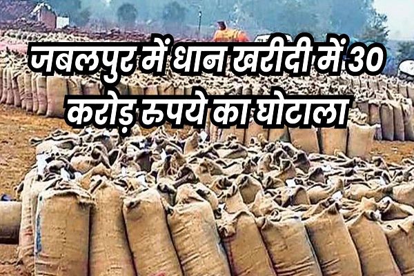 जबलपुर में फर्जी धान खरीदी में 12 थानों में 74 लोगों पर एफआईआर, इनमें सोसायटी के कर्मचारी भी