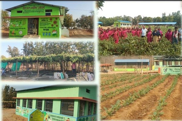 रायपुर : आवर्ती चराई योजना से आर्थिक समृद्धि की राह हुई प्रशस्त