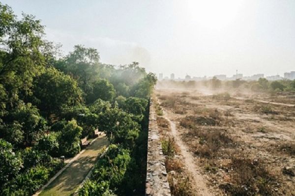 क्लाइमेट ट्रेंड्स की रिपोर्ट: भारत में 2001 से 2025 के बीच 5.6 प्रतिशत घटा हरित क्षेत्र